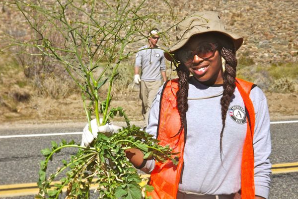 AmeriCorps Team